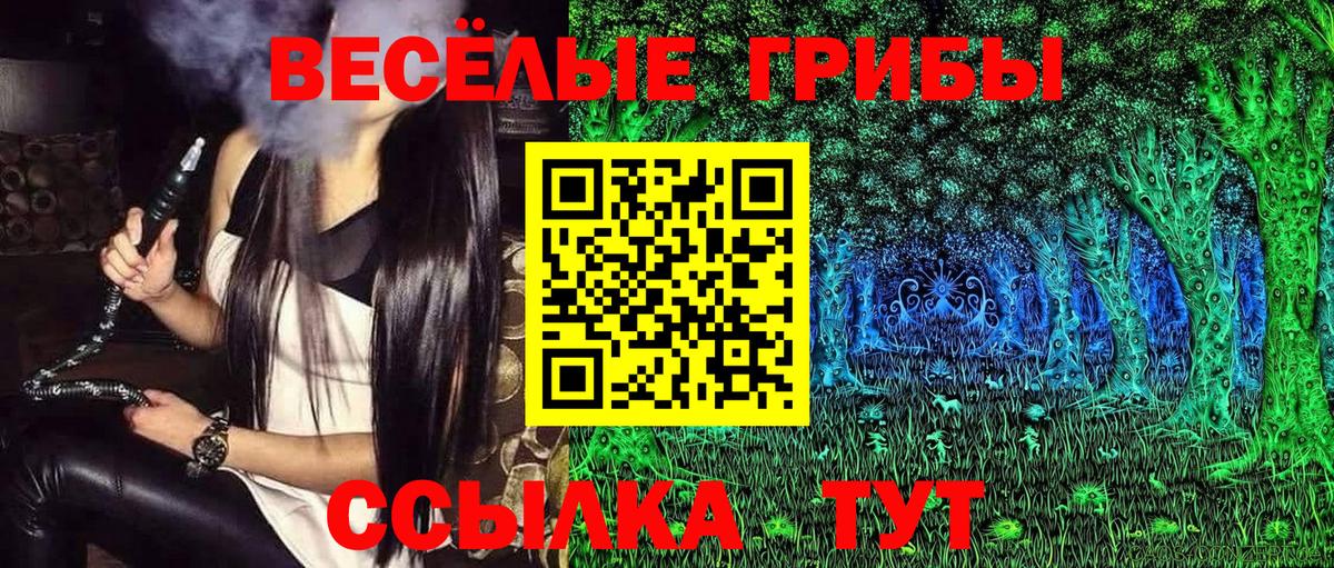 Псилоцибиновые грибы Psilocybine cubensis  Вход с VPN  купить   Старая Купавна 